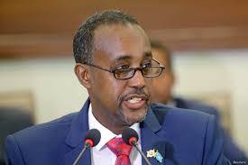 somalia mohamed roble hussein diplomatic strikes drone somaliland approves flexing appointed officially announced